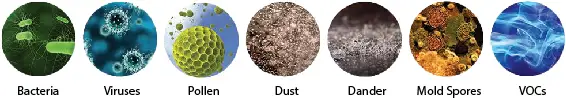 Indoor Air Quality